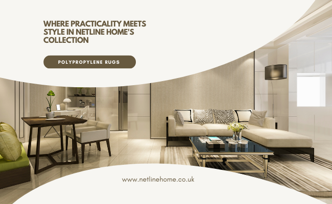 Polypropylene Rugs: Where Practicality Meets Style in Netline Home's Collection