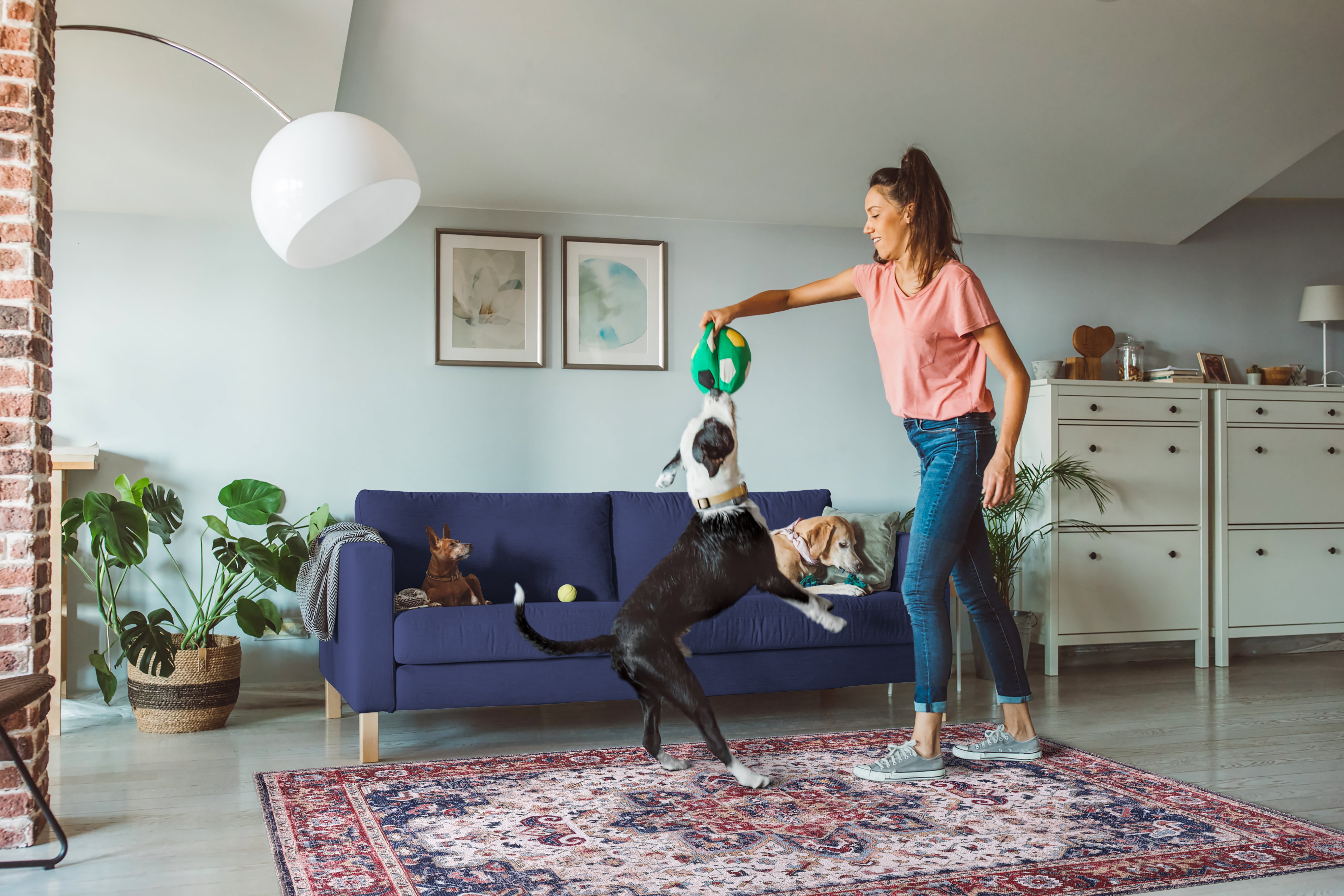 Netline Home Rugs Depot NH1323 – Machine Washable Persian Heriz Rug | Traditional Oriental Medallion Carpet for Living Room, Bedroom & Dining