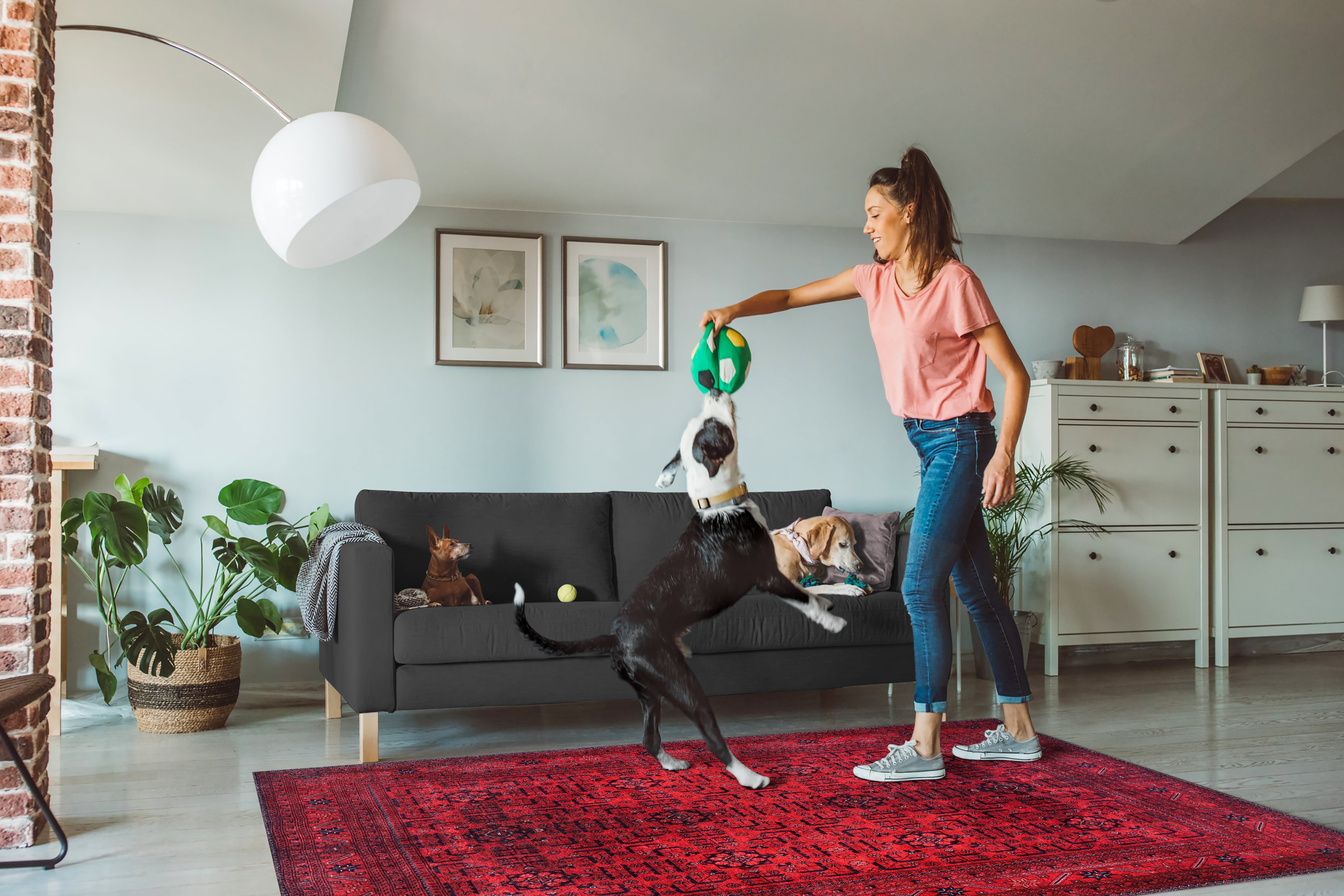 Netline Home Rugs Depot NH1317 – Machine Washable Bokhara Red Rug | Classic Geometric Oriental Carpet for Living Room & Bedroom