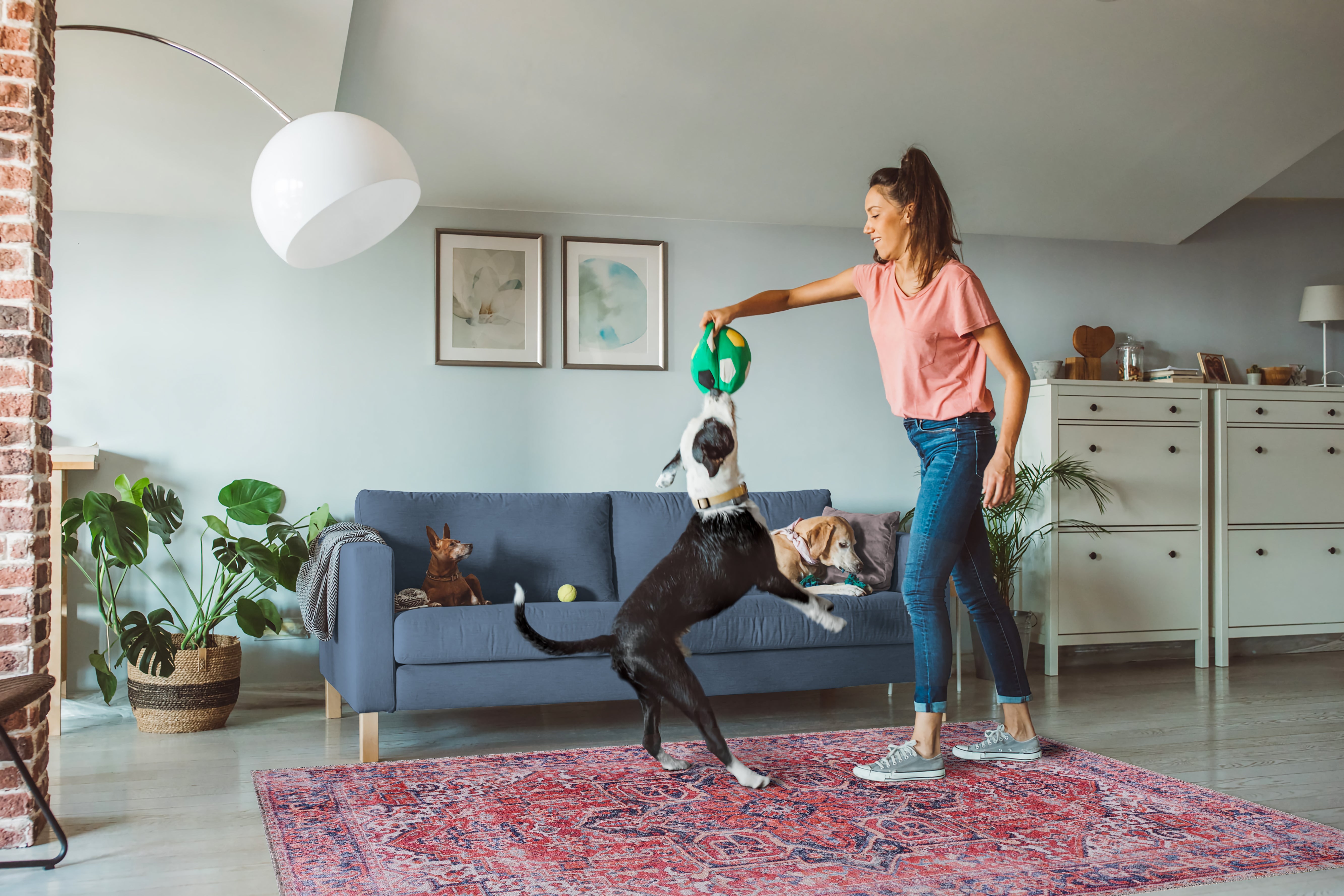 Netline Home Rugs Depot Traditional Medallion Washable Rug Design NL1001