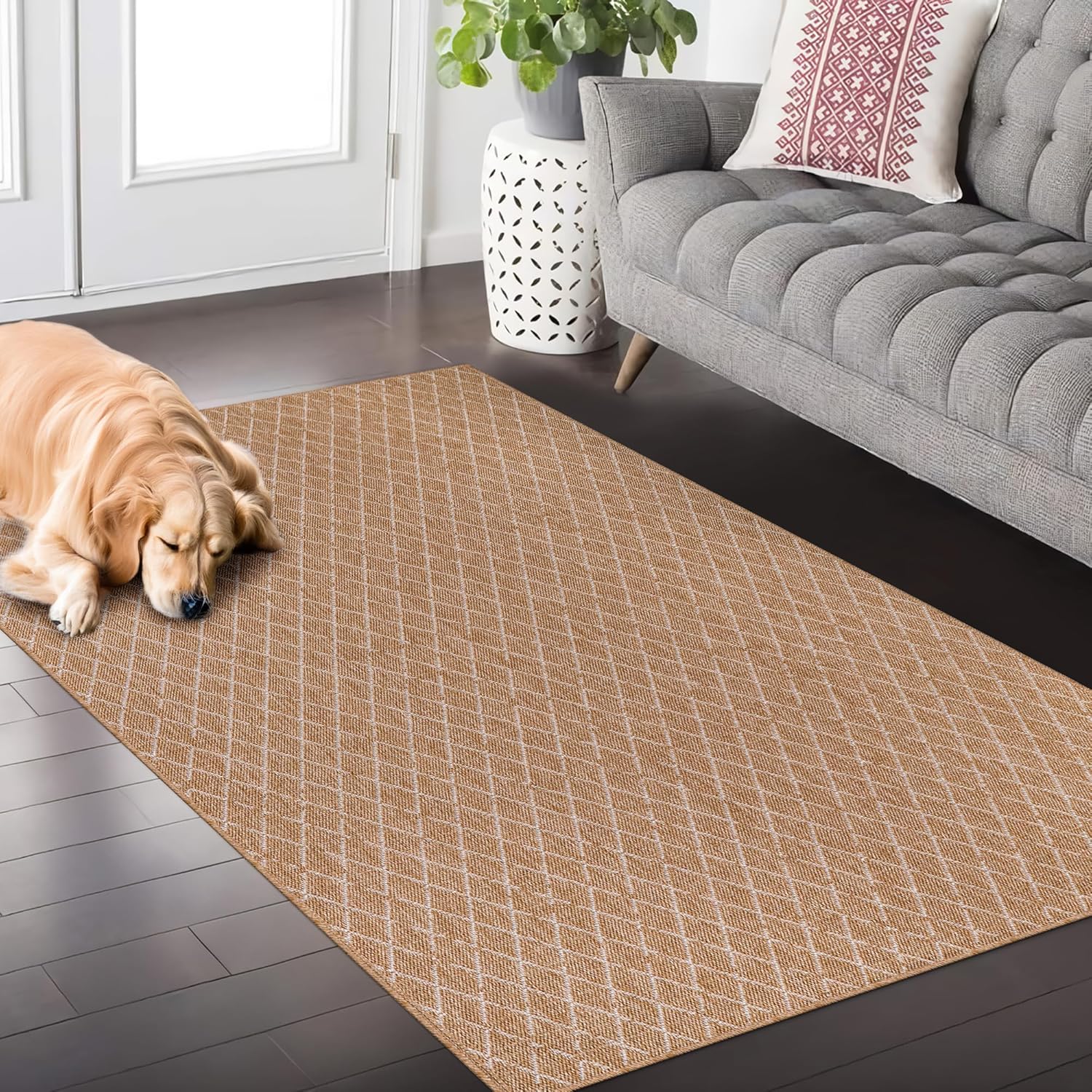 Rugs Living Room - Non slip, Washable Area Rug - Beige Rug, Suitable for Indoor and Outdoor Use, UV and Weather Resistant, Carpet for Bedroom, Kitchen, Verandas (Beige 4, 80X150 CM)
