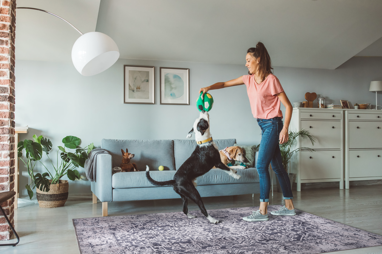 Netline Home Rugs Depot Traditional Blue Abstract Washable Rug Design 1338