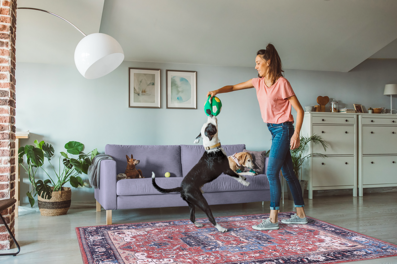 Netline Home Rugs Depot Tribal Multicolor Medallion Washable Rug Design 2023