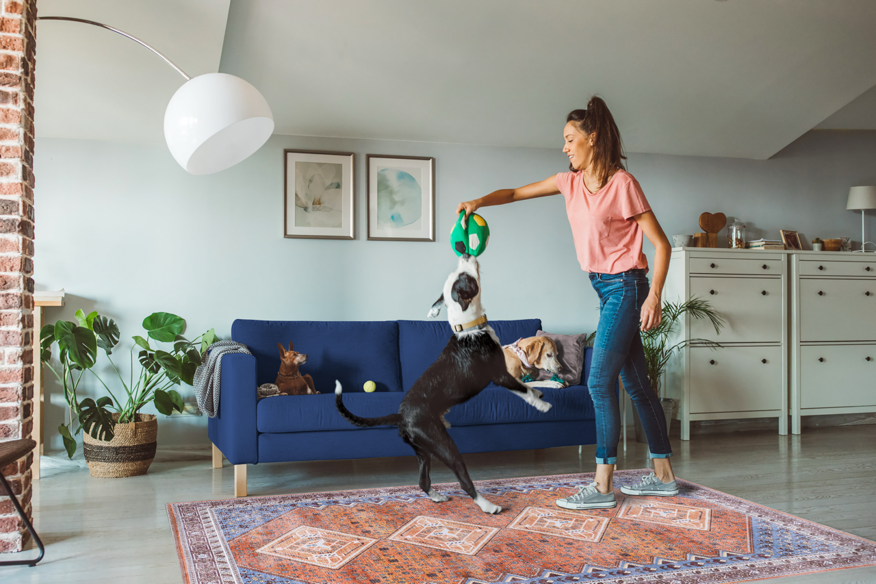 Netline Home Rugs Depot Tribal Multicolor Geometric Washable Rug Design R1