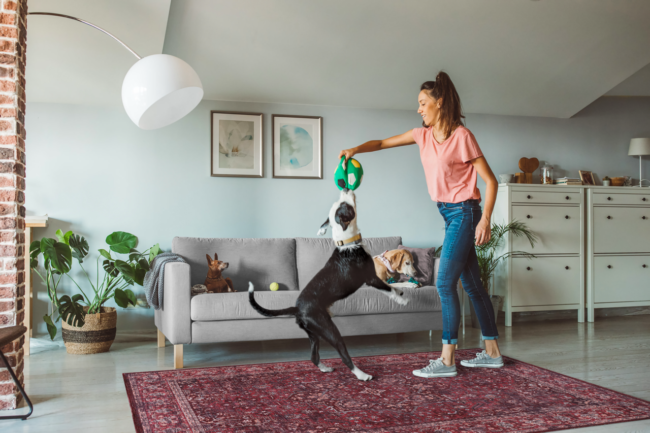 Netline Home Rugs Depot Tribal Multicolor Geometric Washable Rug Design 1310