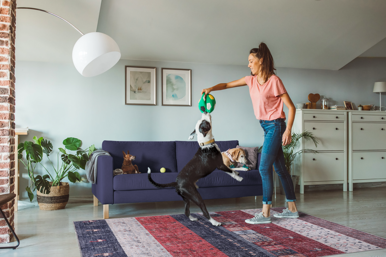 Netline Home Rugs Depot NH1339 – Machine Washable Gabbeh Rug | Tribal Striped Oriental Carpet with Symbolic Motifs for Living Room, Bedroom & Dining