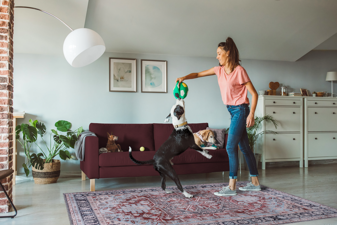 Netline Home Rugs Depot Bohemian Grey Striped Washable Rug Design K1