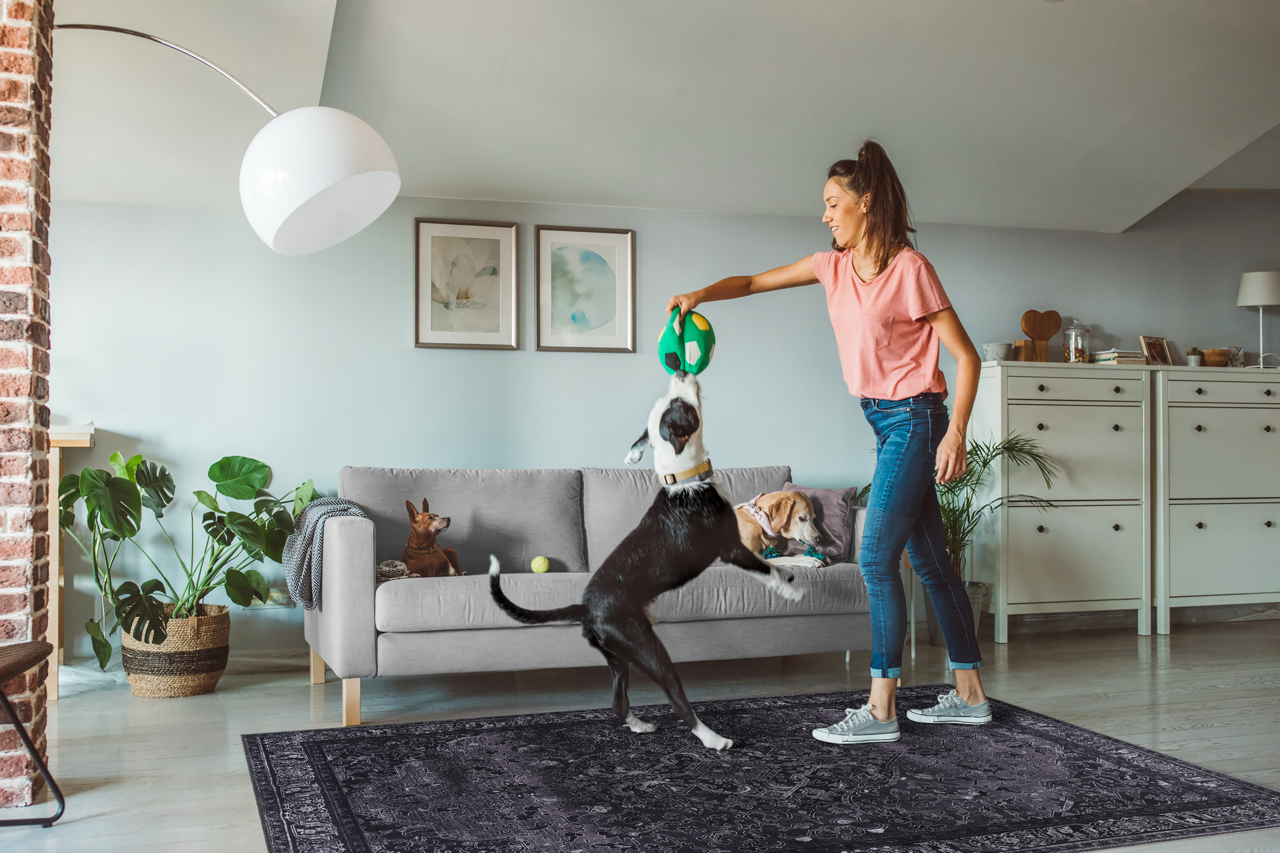 Netline Home Rugs Depot Tribal Black Geometric Medallion Washable Rug Design 1318