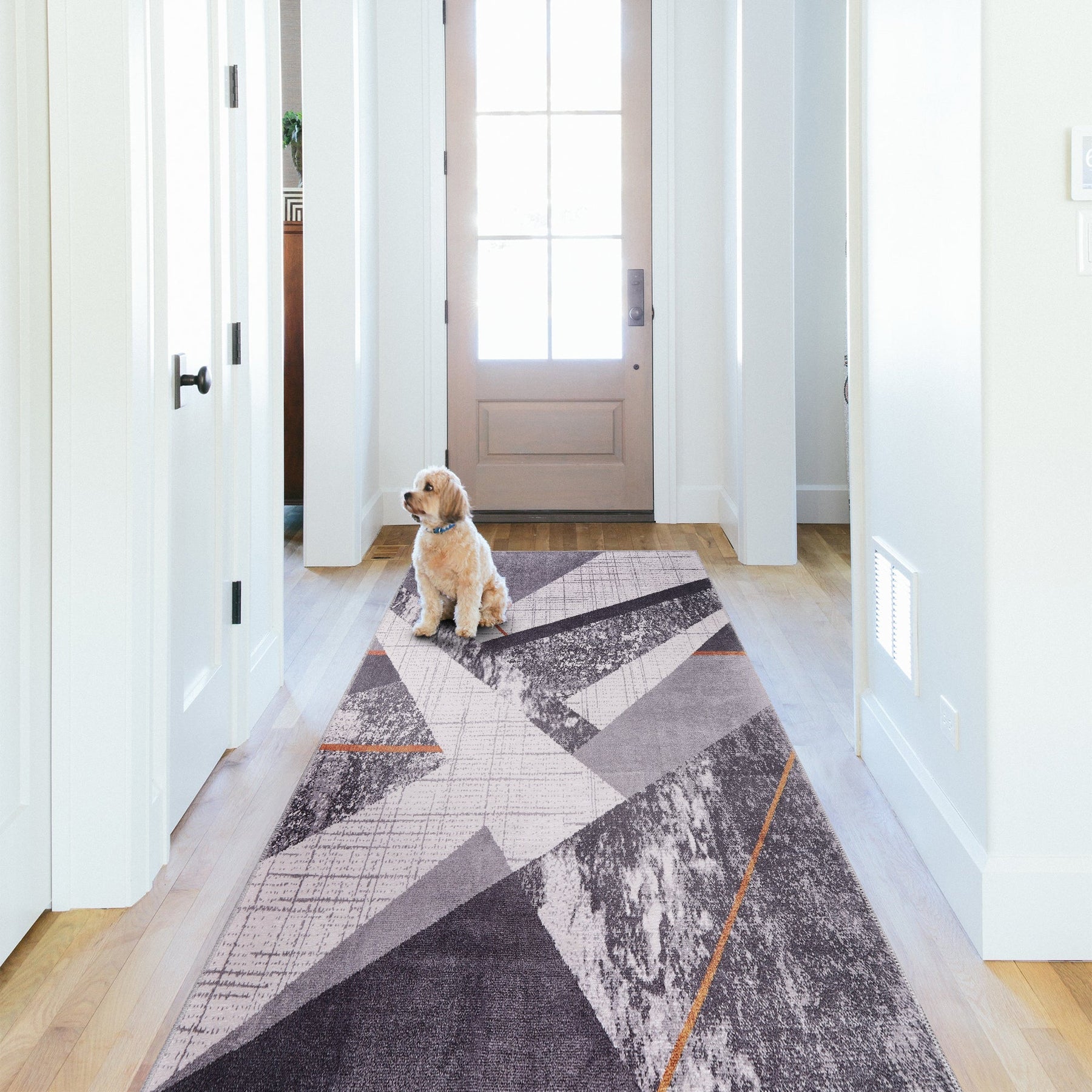RWNL1005 washable runner rug in a modern hallway