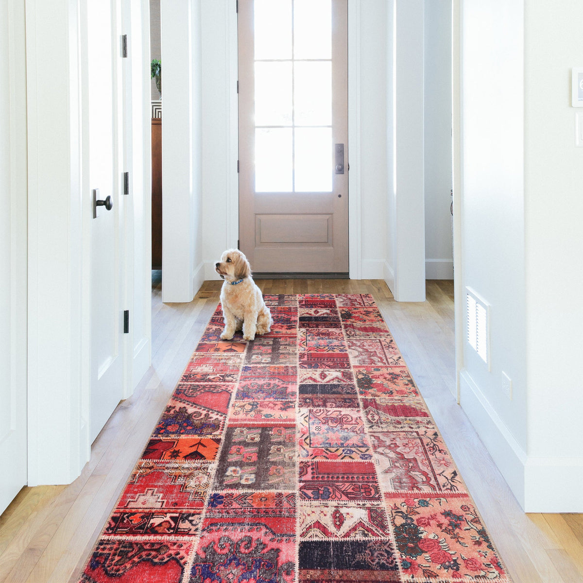 RWNL1006 washable runner rug in a modern hallway