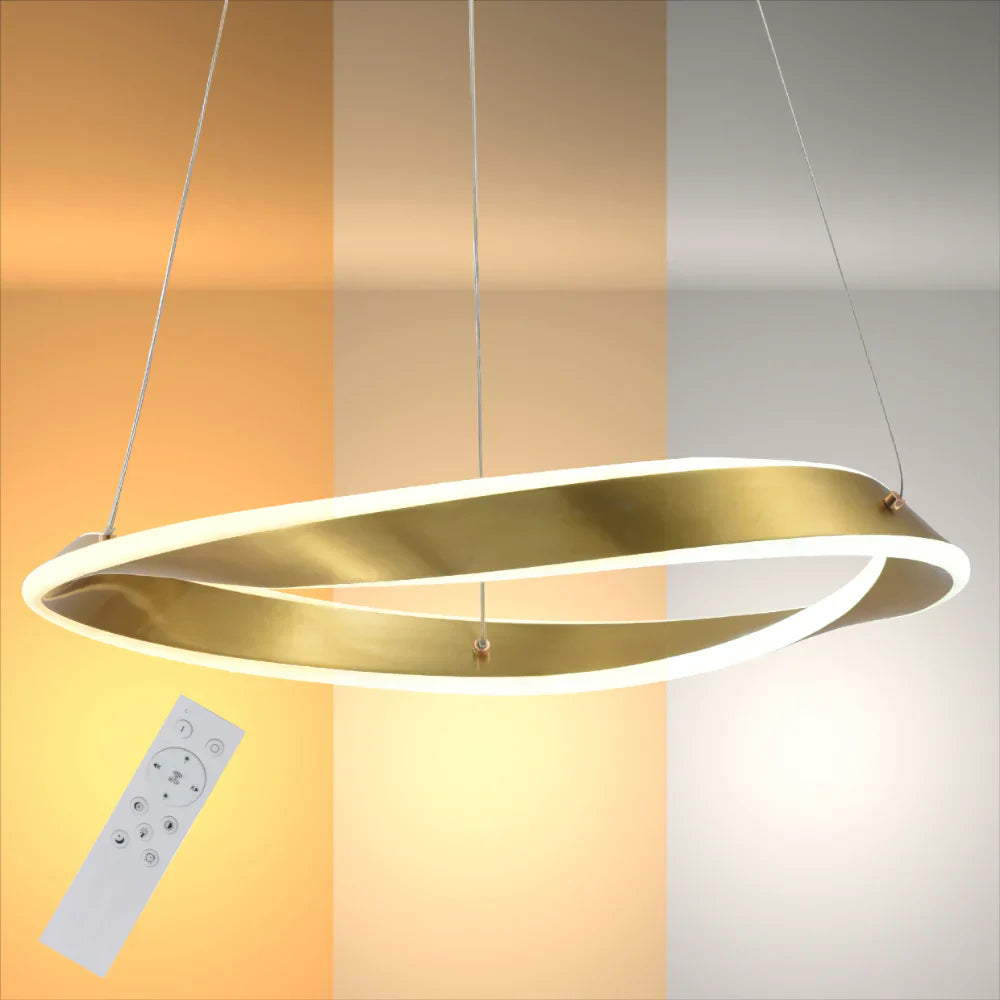 Artistic Arc LED pendant light with a full bent ring design, modern contemporary style, hanging from a ceiling fixture.