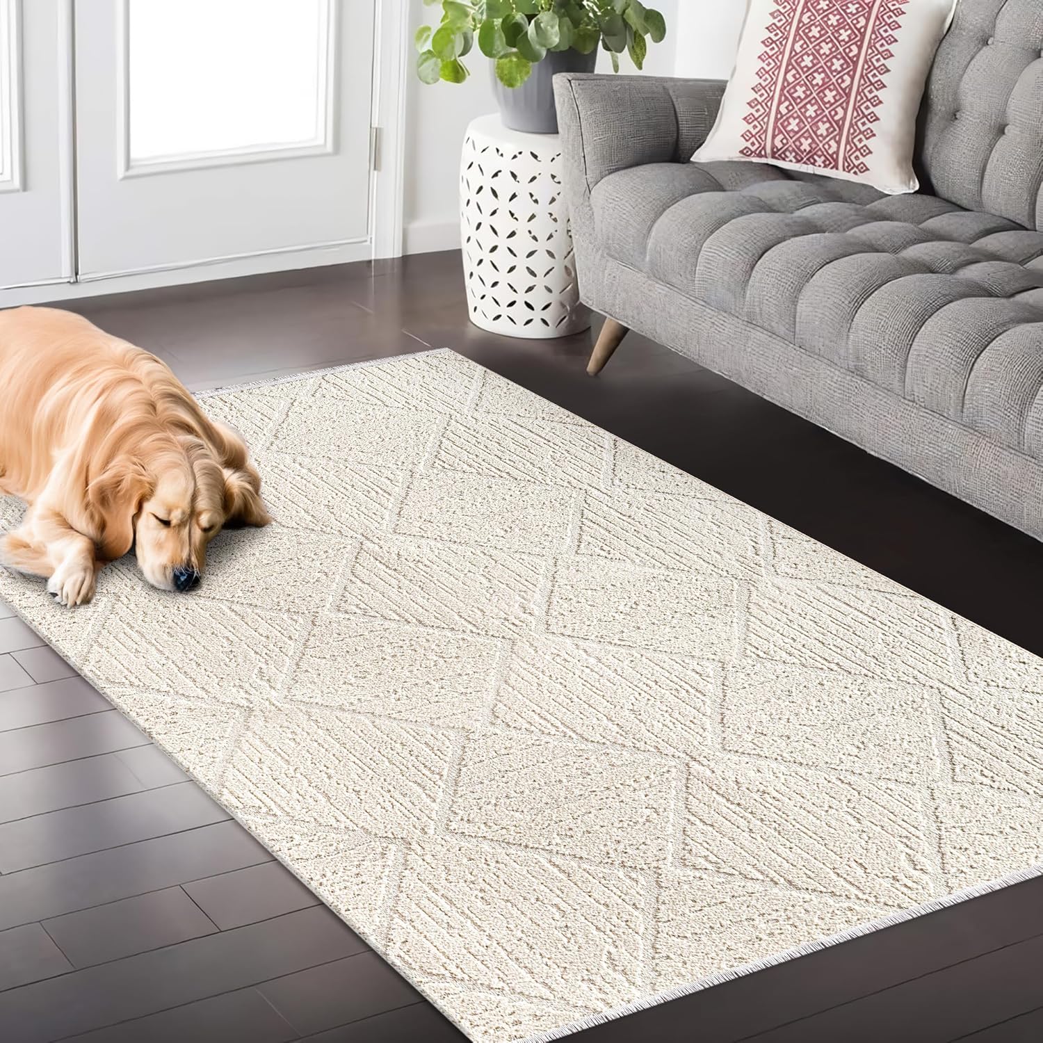 Area Rug for Living Room – Fluffy Area Rug, Modern Carpet for Bedroom & Home | Non-Shedding, Shed-Resistant Large Area Rugs for Living Room, Hallway & Office Decor (BEIGE, 80X150)