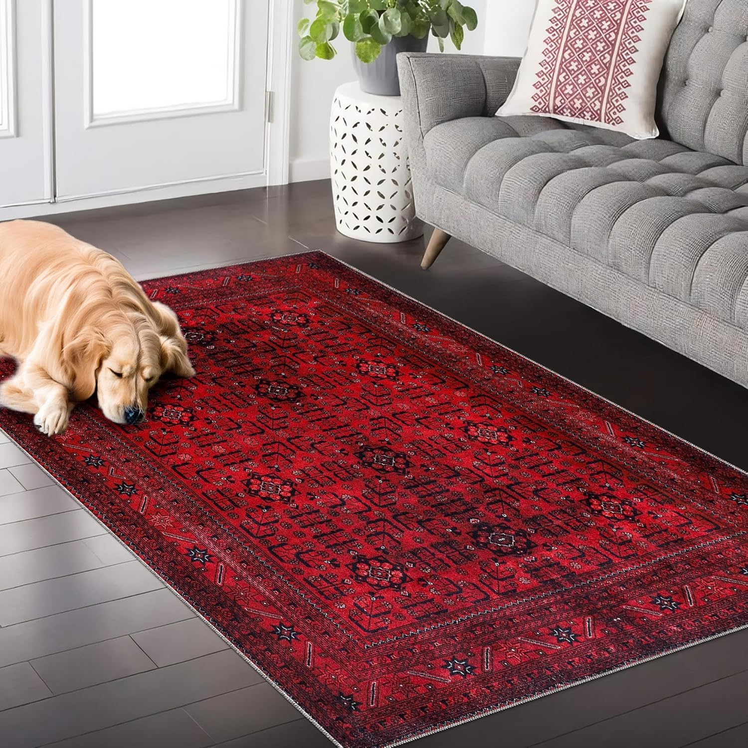 Rugs Living Room - Washable Rug - Area Rug - Non-Slip Rugs Carpet Woven from Cotton - Vintage Rug for Living Room Bedroom Kitchen - Kid and Pet Friendly (RED RUG, 80X150 CM)