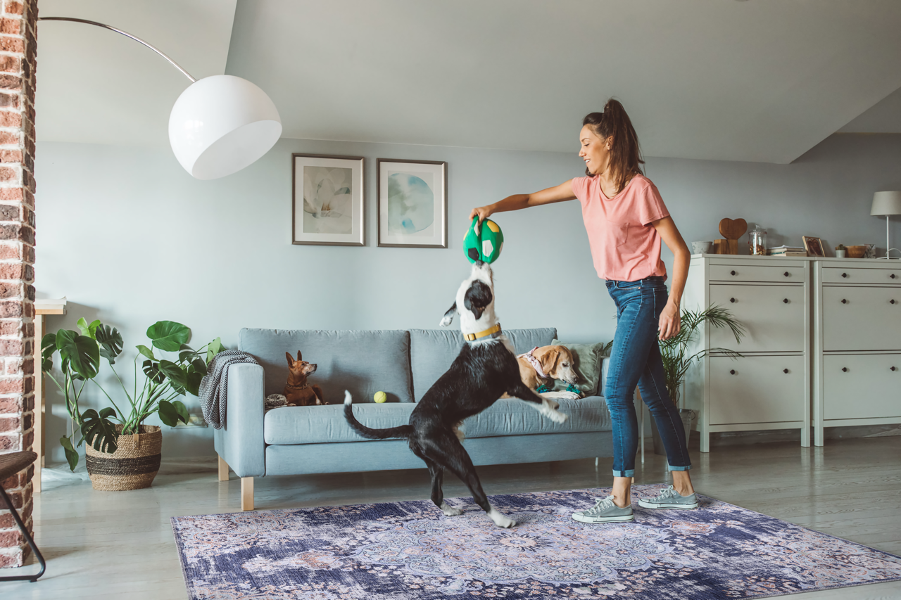 Netline Home Rugs Depot Traditional Blue Abstract Medallion Washable Rug Design 1487