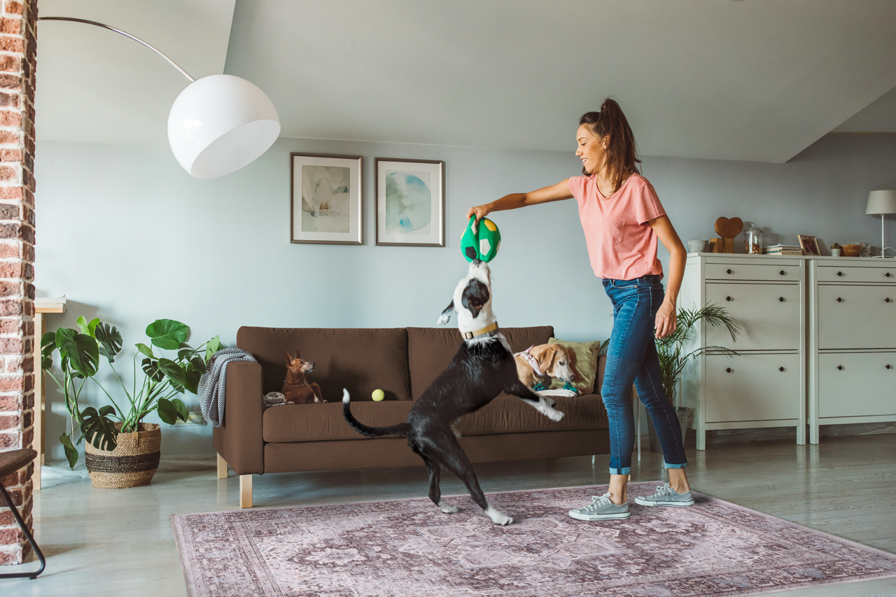 Netline Home Rugs Depot Tribal Multicolor Geometric Washable Rug Design 1311