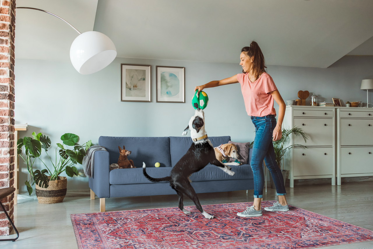 Netline Home Rugs Depot Traditional Medallion Washable Rug Design NL1001