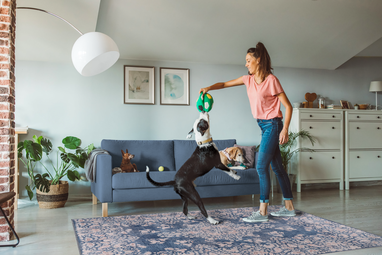 Netline Home Rugs Depot Modern Beige Floral Washable Rug Design R3