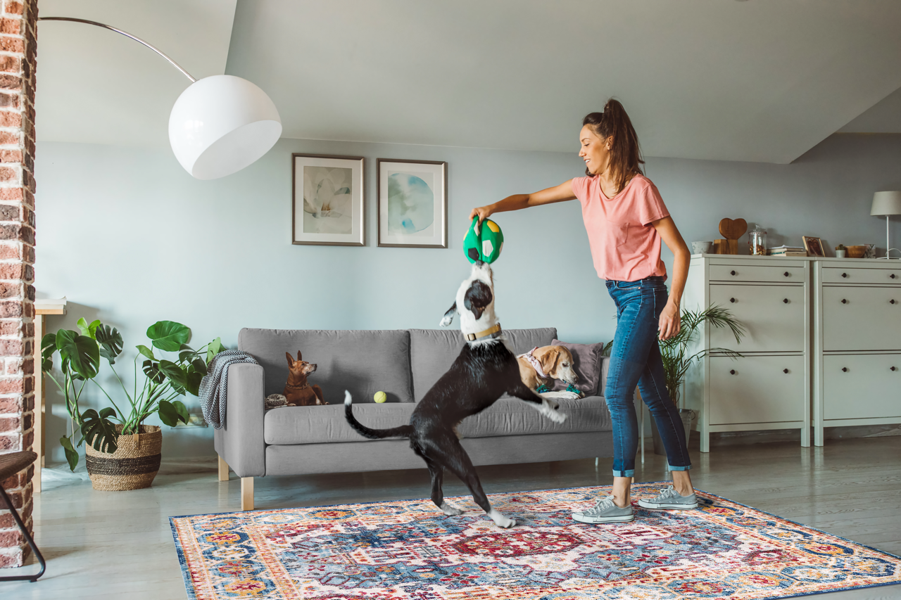 Vintage Area Rug 7664 – Burgundy & Blue Royal Medallion