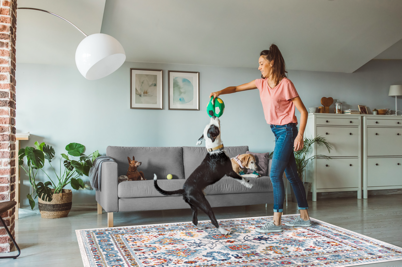 Vintage Area Rug 7650 – Cream Distressed Medallion