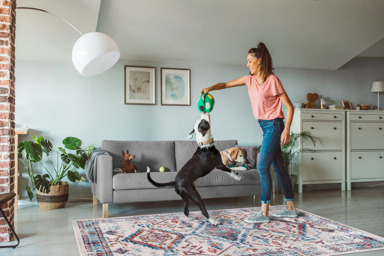 Vintage Area Rug 7661 – Tribal Distressed Terracotta