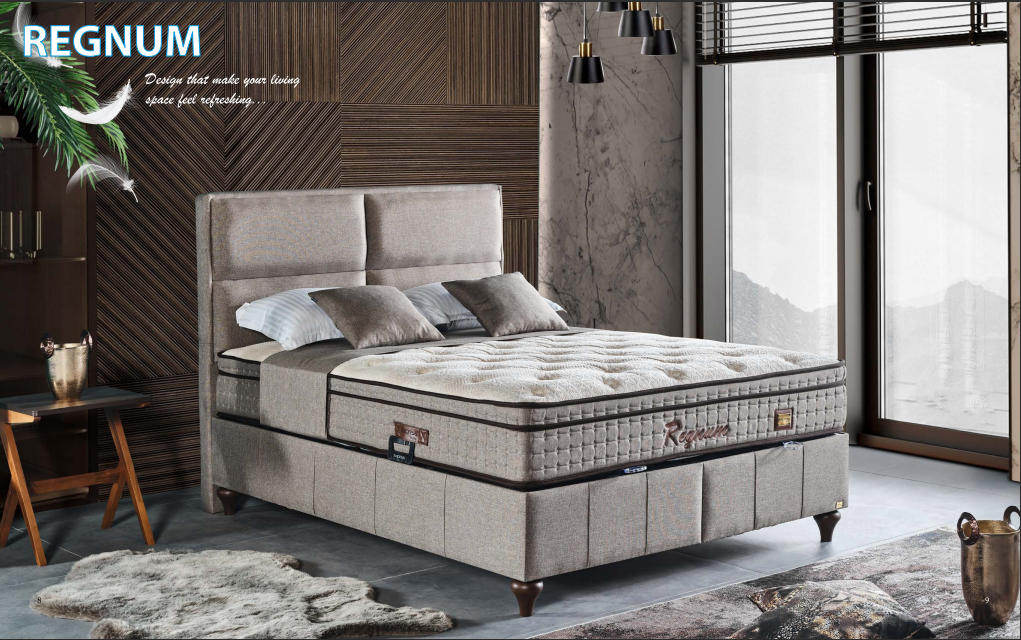 Netline Home Interior Regnum Bed Sets with stylish bedding, featuring a modern bedroom setup with matching comforter and pillows.