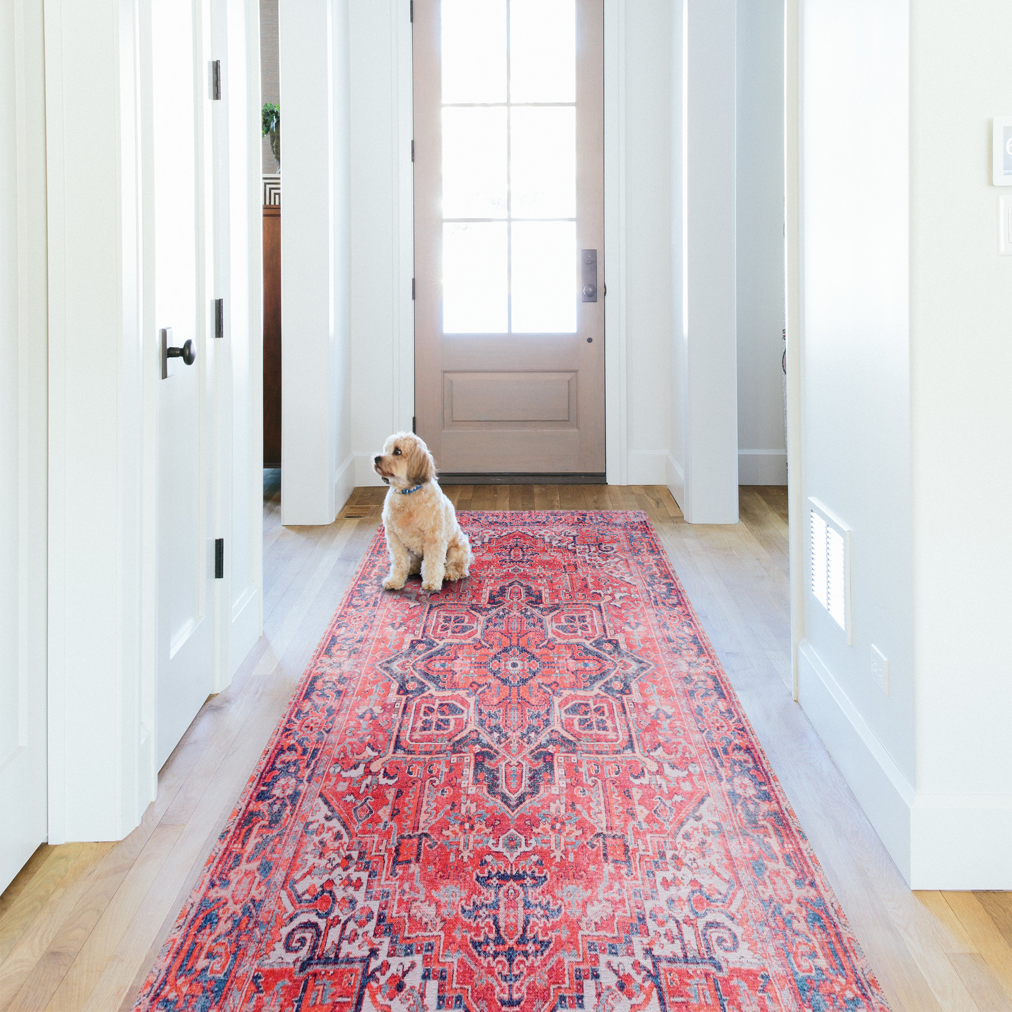 Netline Home Rugs Depot Traditional Medallion Washable Rug Design NL1001