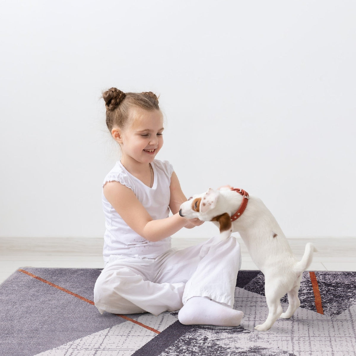RW1005 washable chenille area rug, pet and kid friendly
