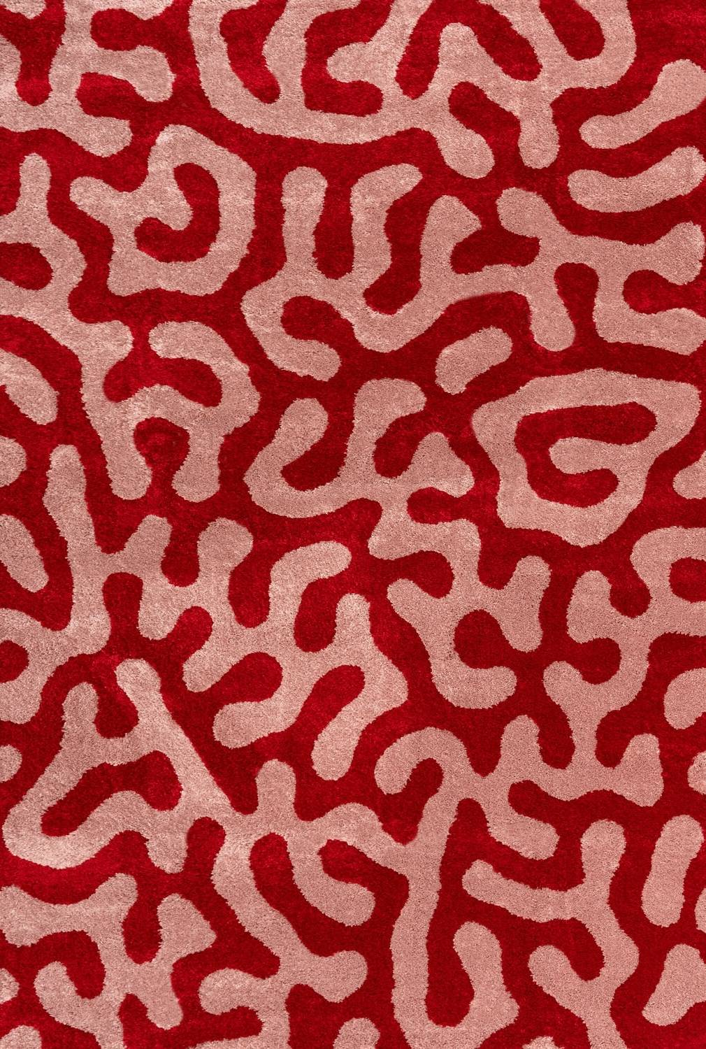 Joli Doodle Red & Pink Rug