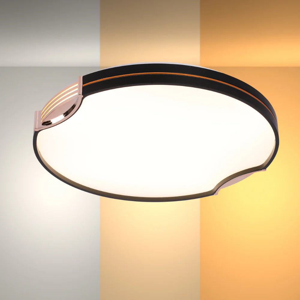 Modern flush ceiling light with black frame and bronze accents, designed for stylish home interior lighting.