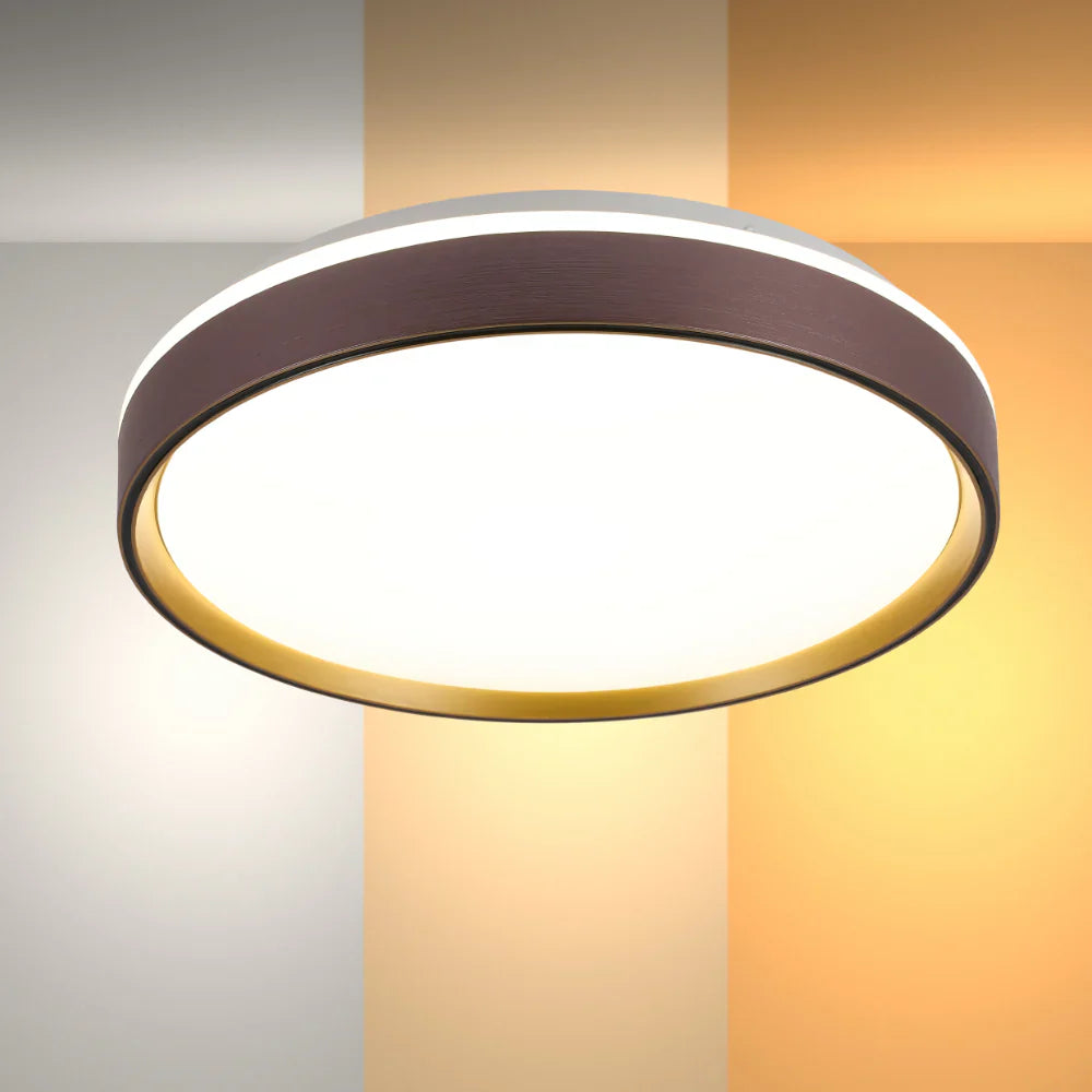 Modern Halo Effect LED Ceiling Light by Netline Home Interior with color contrast design, showcasing sleek contemporary ceiling lighting.